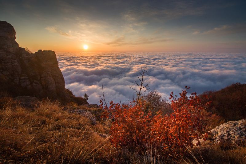 осень, рассвет, облака Осенний рассвет над облакамиphoto preview