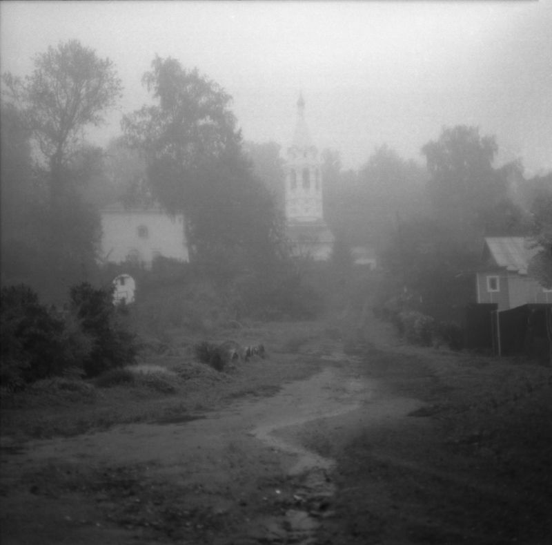 Туман. Ярославльphoto preview