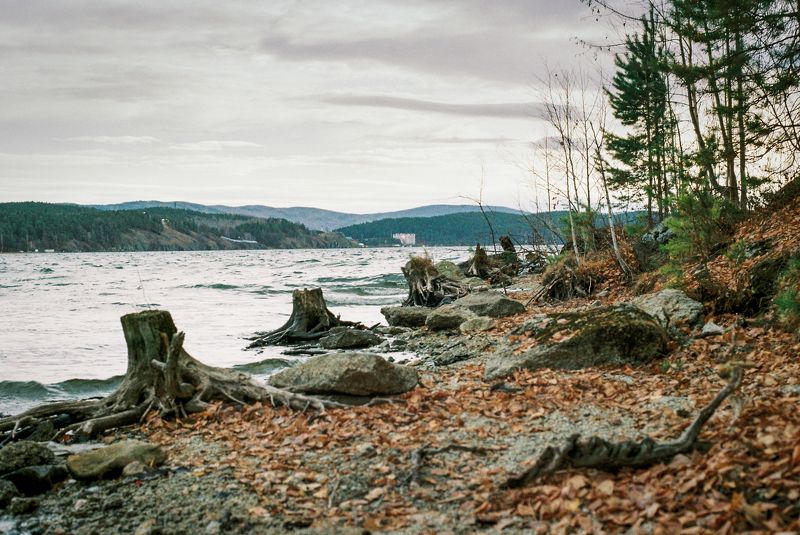 Былые стражи берега.photo preview