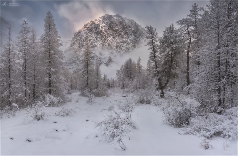 алтай, актру, осень, зима, караташ, кара-таш, фототур на алтай, горный алтай,северо-чуйский хребет, горы, фототур, осенний фототур на алтай В Актру пришла зима ..photo preview