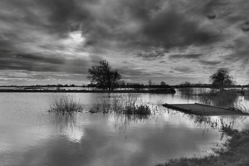 My region.photo preview