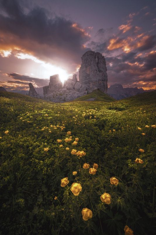 cinque torriphoto preview