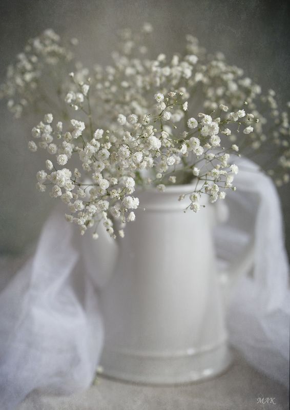 жемчужница цветы кувшин Жемчужинкиphoto preview