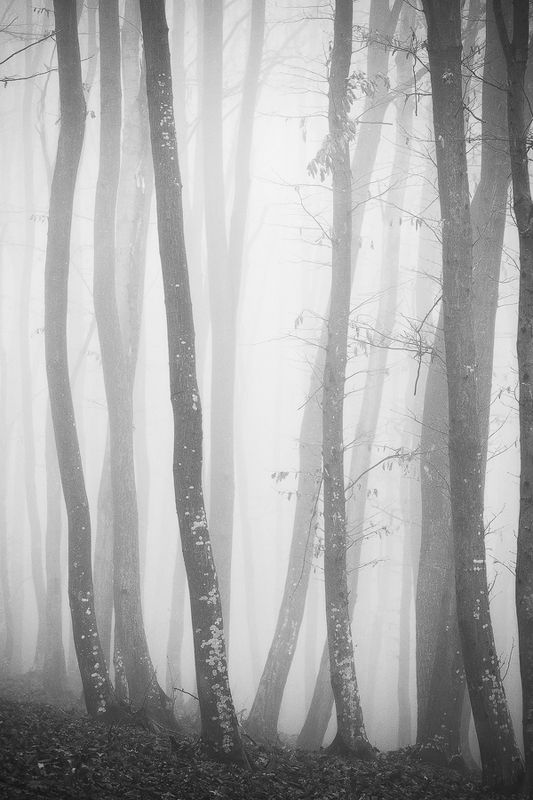 2021 фото превью