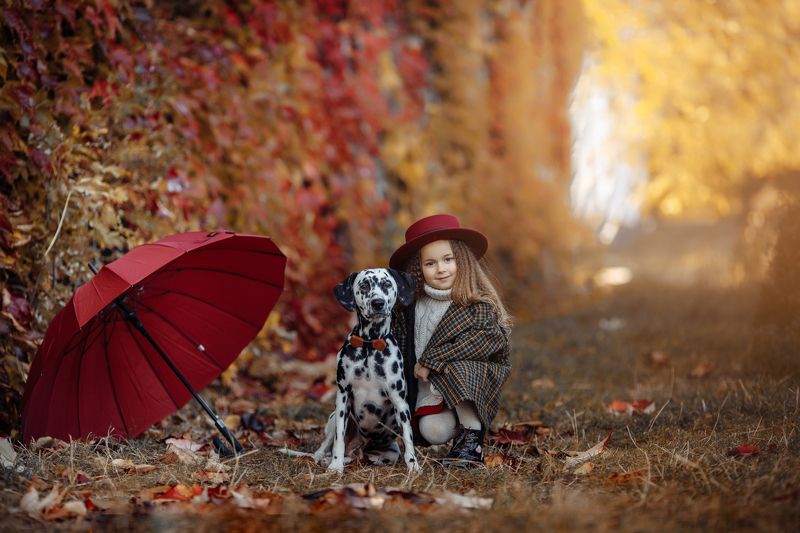 детское фото, далматинец, осень, дети, baby photo, dalmatian, autumn, children Тёплая дружелюбная осеньphoto preview