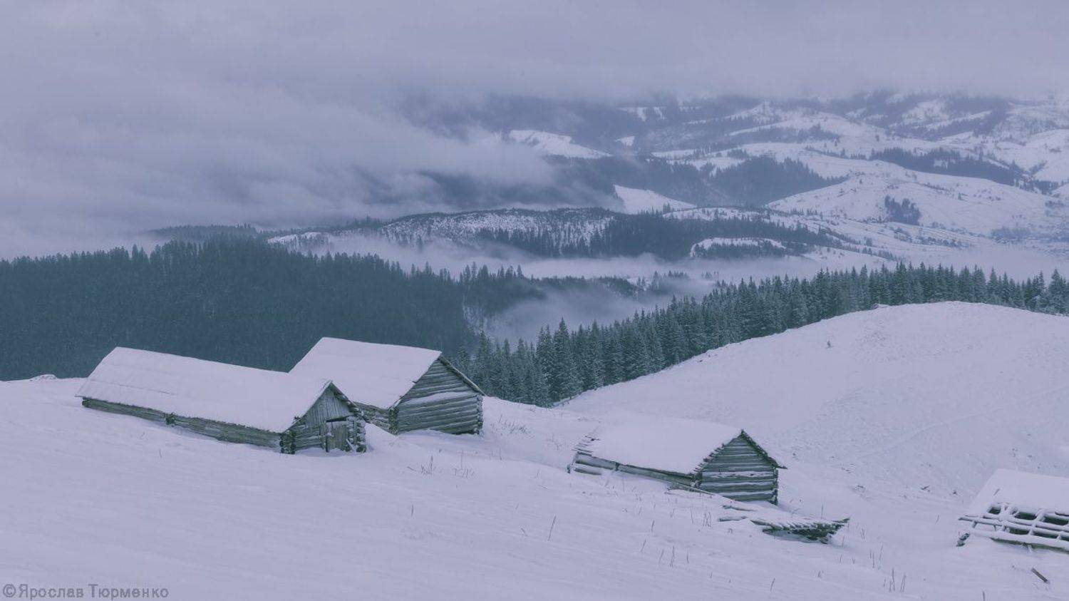 , Ярослав Тюрменко (Jaremi)