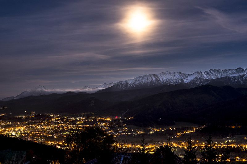 On a moonlit nightphoto preview