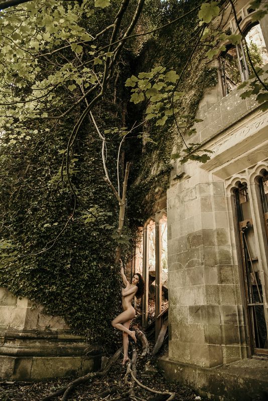 nature reclaimedphoto preview