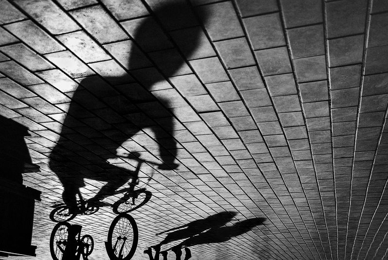 про тениphoto preview