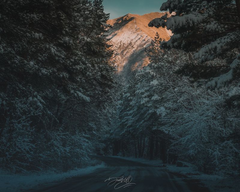 цей, осетия, пейзаж, снег, зима, день, дорога, лес, ёлка, сосна, горы Зимний Цей.photo preview