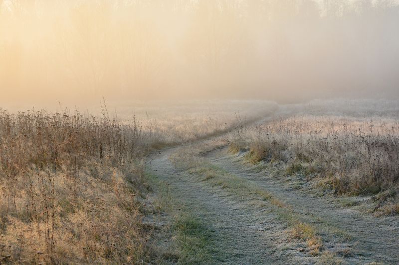 осень, утро, туман, туманное утро, misty, foggy morning Встреча с ноябремphoto preview