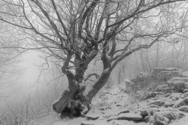 бештау, зима, снег, туман Зимнее началоphoto preview