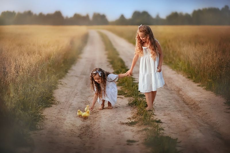 лето, природа, дети, девочка, пшеница, поле, утята Пшеничное полеphoto preview