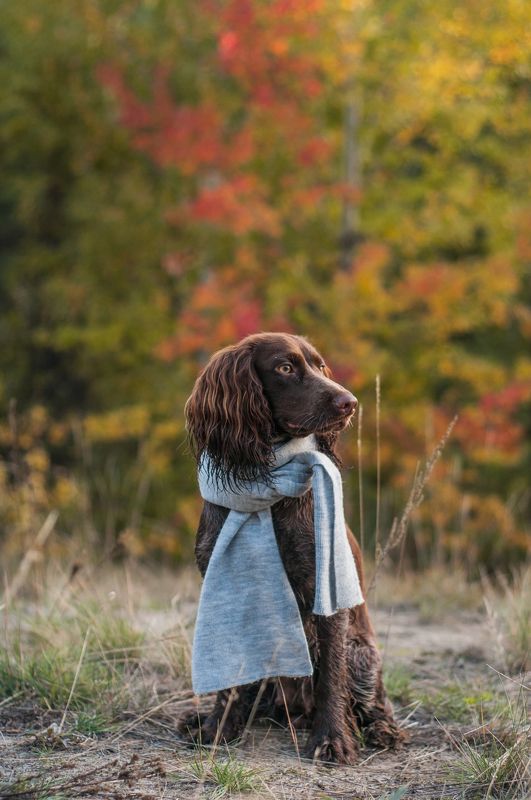 Холодаетphoto preview