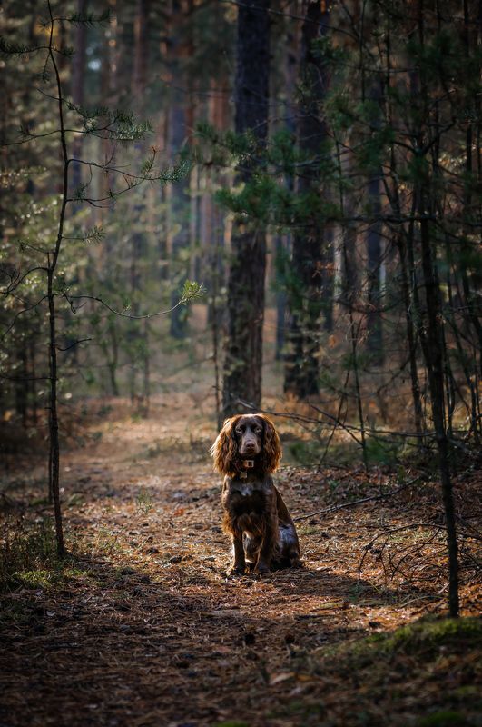 Айтиphoto preview