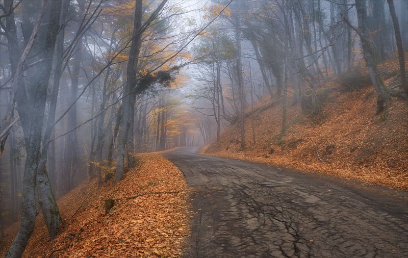 По дороге с туманом. фото превью