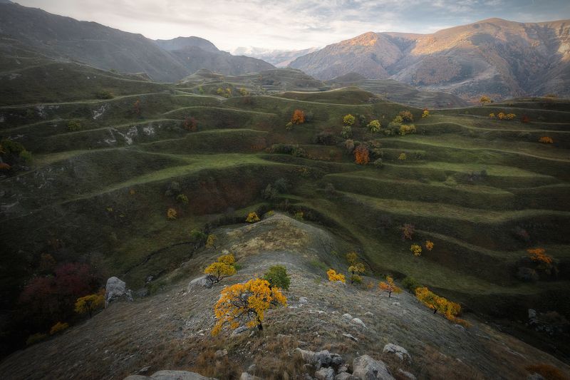 Рассекая волныphoto preview