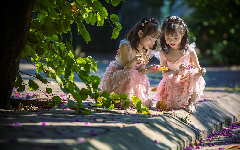 The sunlightphoto preview