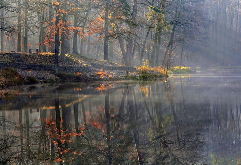 Отражение осениphoto preview