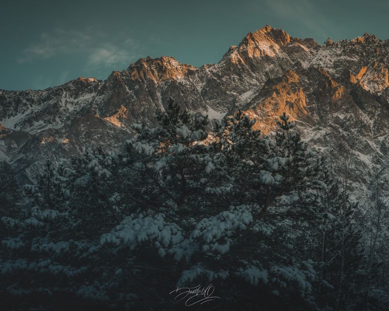 осетия, зима, снег, горы, сосна, природа, пейзаж, день Зимняя сказка.photo preview