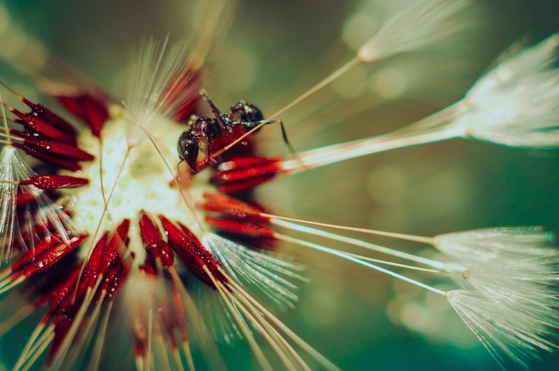 nikon d90 photo preview