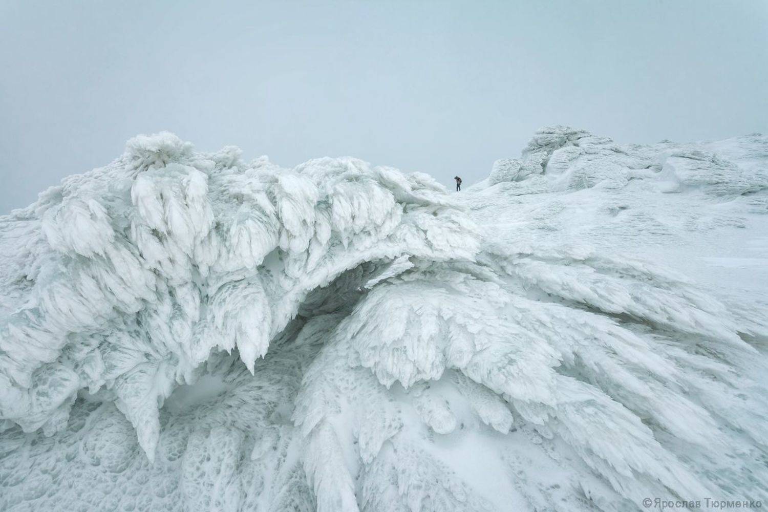 , Ярослав Тюрменко (Jaremi)