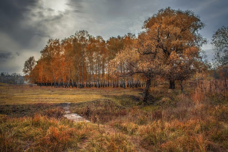 Миг вдохновенияphoto preview