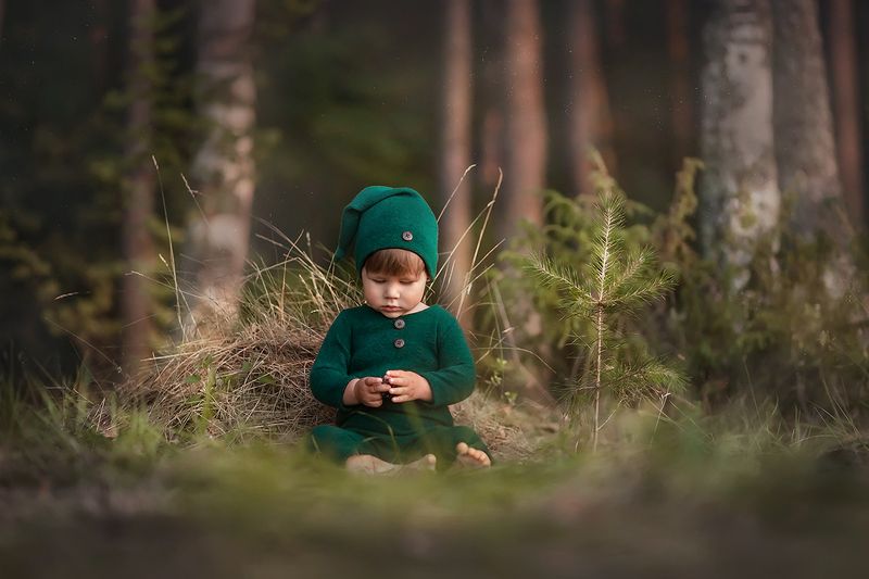 ребенок, малыш, дети, мальчик, лес, природа, лето Лесной гномикphoto preview