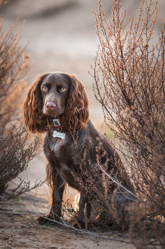 Айтиphoto preview