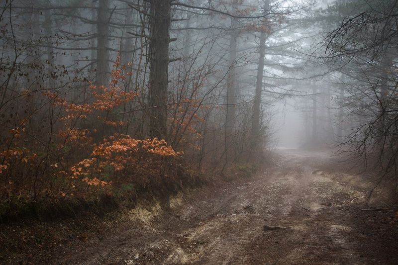 Поздняя осень...photo preview