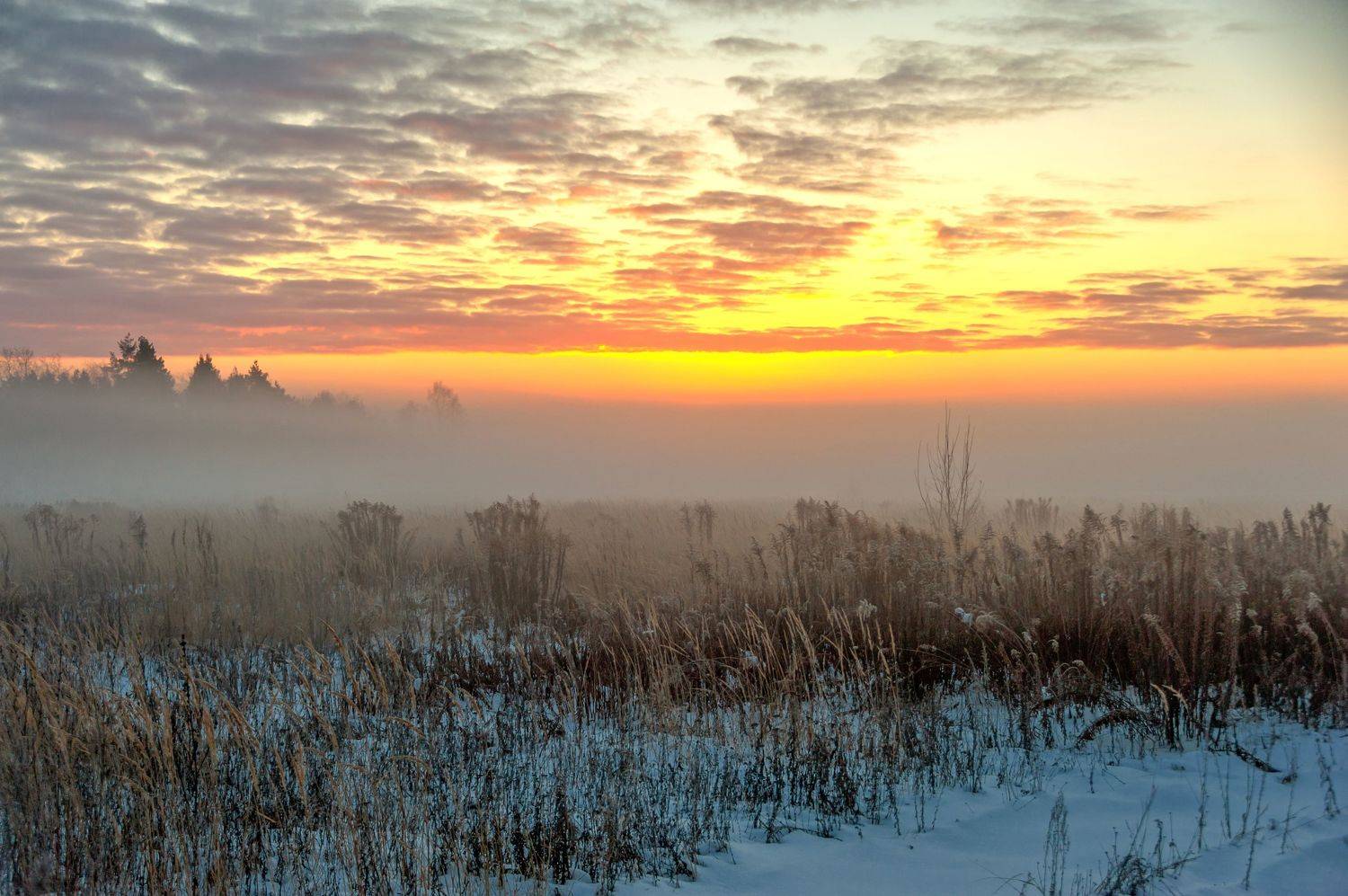 Туманный декабрьский рассвет. Автор: Валерий , Валерий