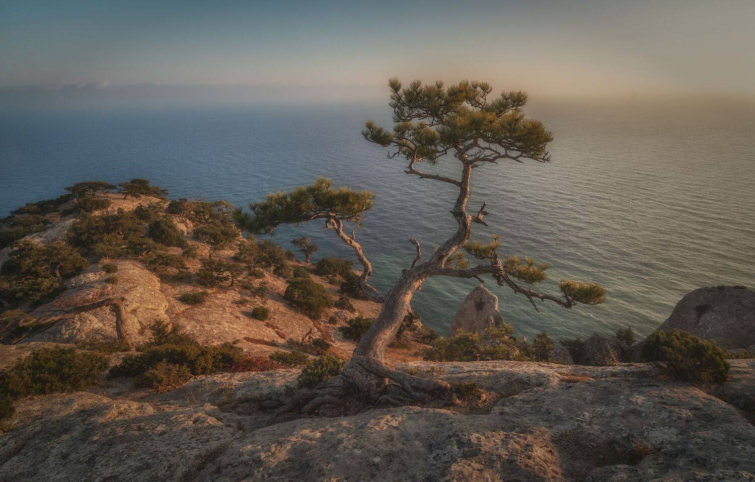 , Константин Дэм