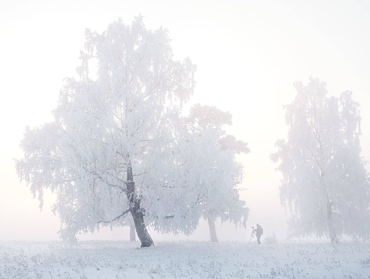 зима, зимний пейзаж, пейзаж ,снег, мороз, туман, winter, fujifilm, Константин Леонтьев