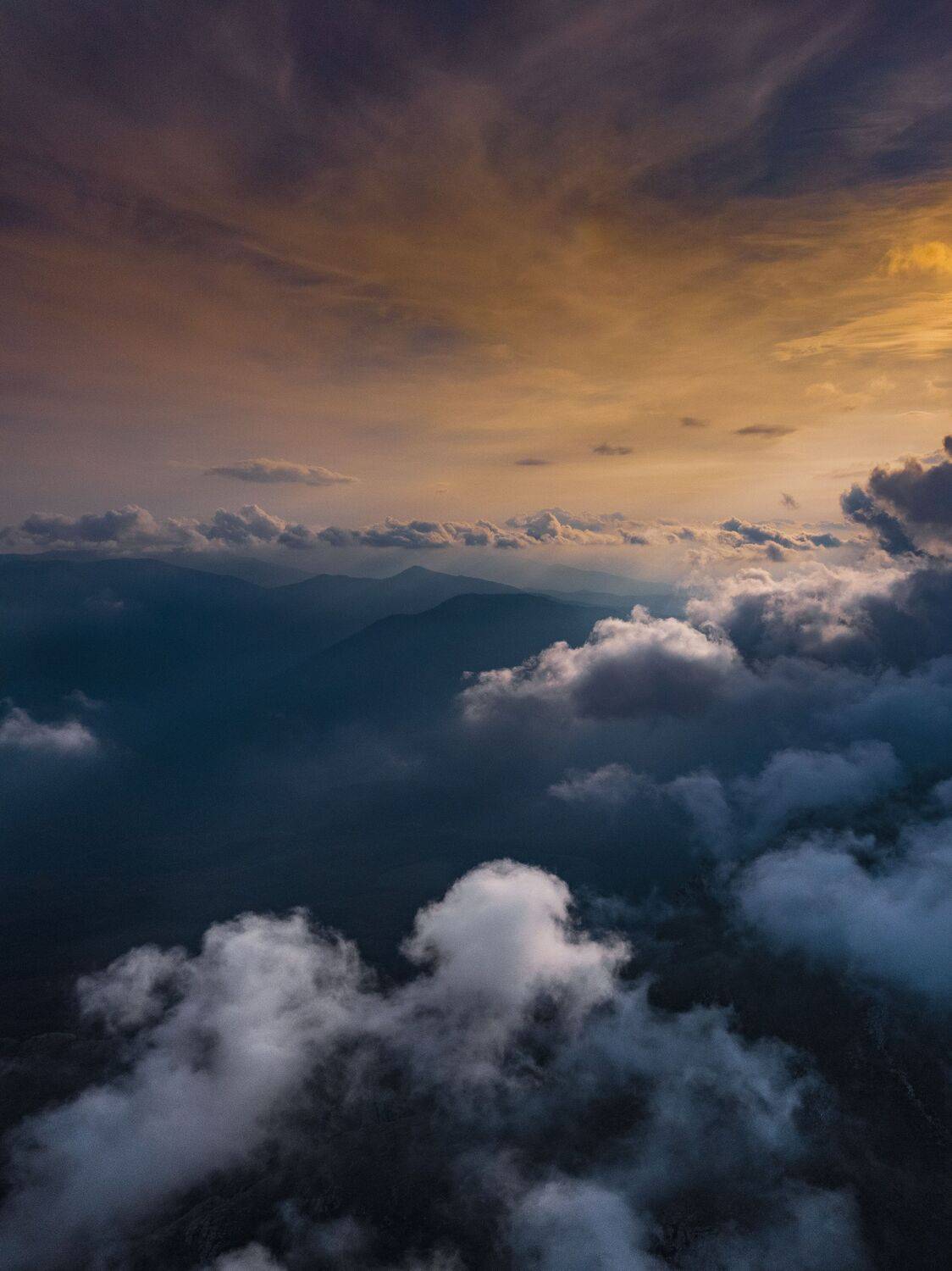 , Андрей Кривцов