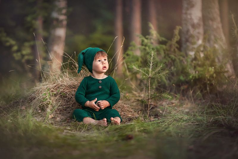 лето, природа, ребенок, малыш, дети, мальчик Лесной гномphoto preview
