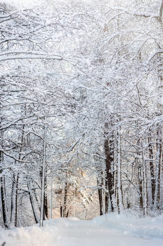 пейзаж, зима, снег Зима пришлаphoto preview