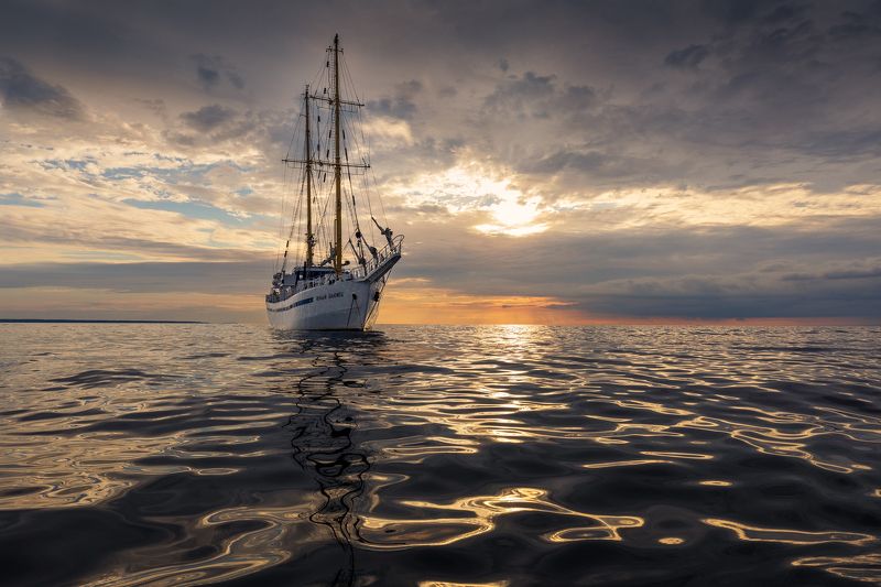 Юный Балтиец Юный Балтиец. фото превью