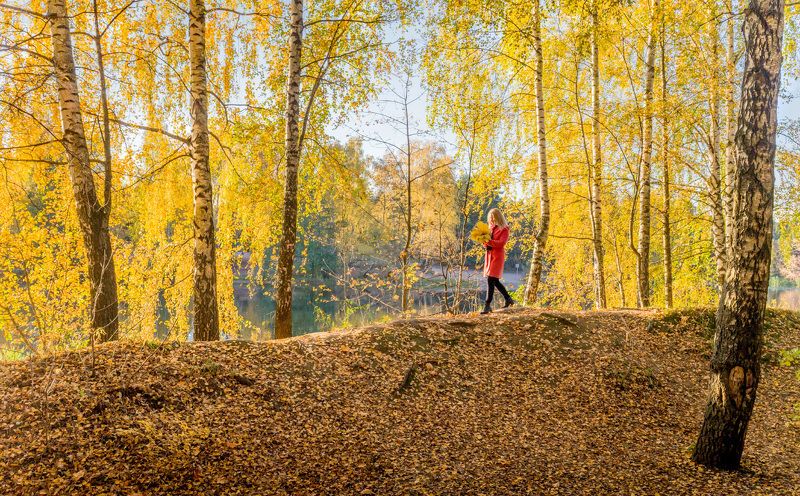 осень, солнце, листва, девушка Осеньphoto preview