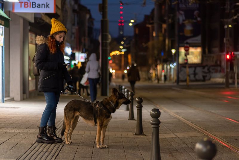 да разходиш животнотоphoto preview