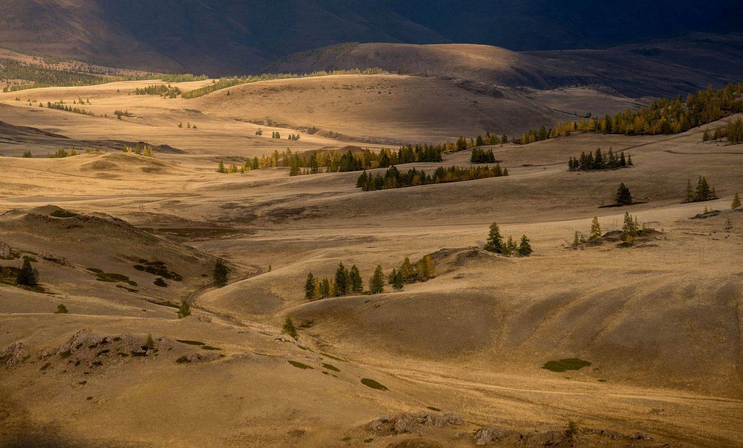 алтай, горы, altai, mountains, river, осень, что такое осень?, курай, степь, курайская степь, нд, золотой алтай нд, золотой алтай, фототур на алтай, Демкина Надежда