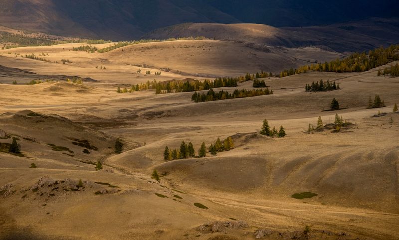 алтай, горы, altai, mountains, river, осень, что такое осень?, курай, степь, курайская степь, нд, золотой алтай нд, золотой алтай, фототур на алтай Осенний бархат Курайской степиphoto preview