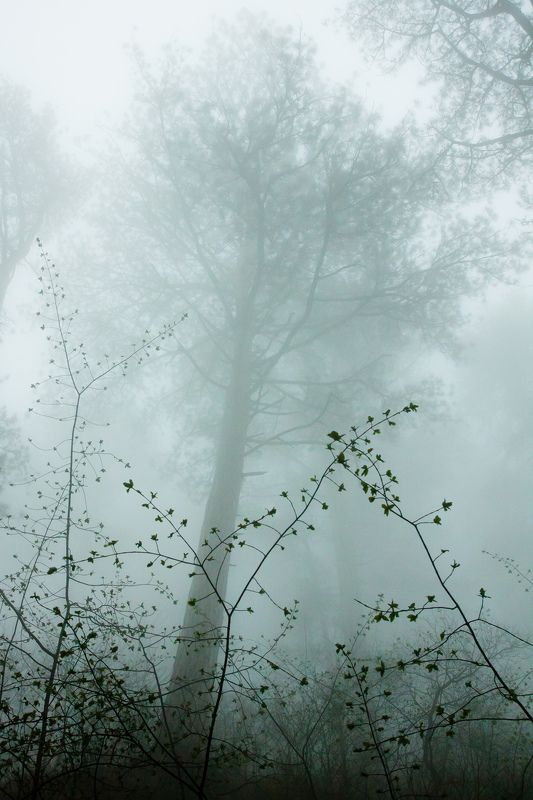 Ажурphoto preview