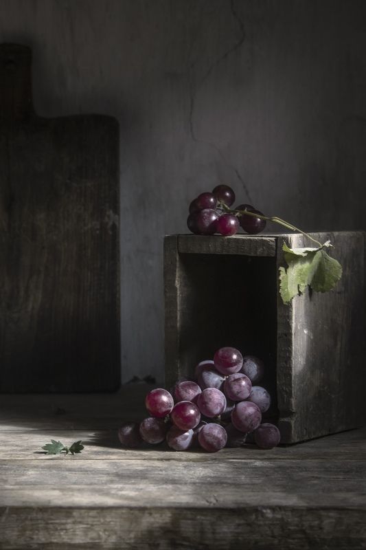 виноград, ветка, дерево Виноградphoto preview