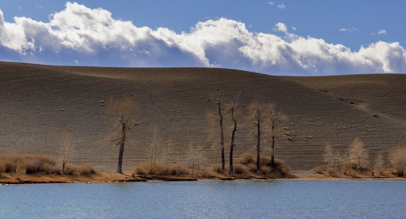 Красногорское озероphoto preview