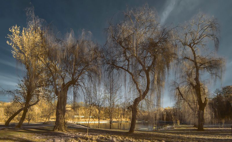 инфракрасный ***photo preview