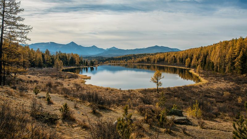 киделю, озеро, алтай, республика алтай, лиственницы, осень, горы Беглый взгляд на Киделюphoto preview