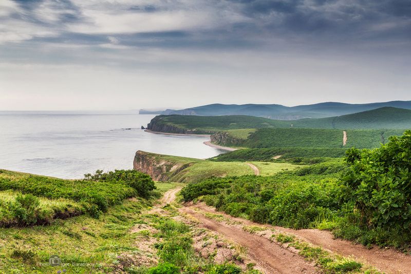 японское море, туман, побережье, обрыв, мыс черепахи, кекуры,  кавалеровский район, высота, бухта малая нерпа, бухта дубовая, берег, дв, дальний восток, приморье, приморский край, путешествие, природа, пейзаж, вид Бухта Малая Нерпа фото превью