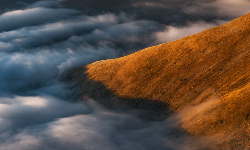 Tread lightlyphoto preview