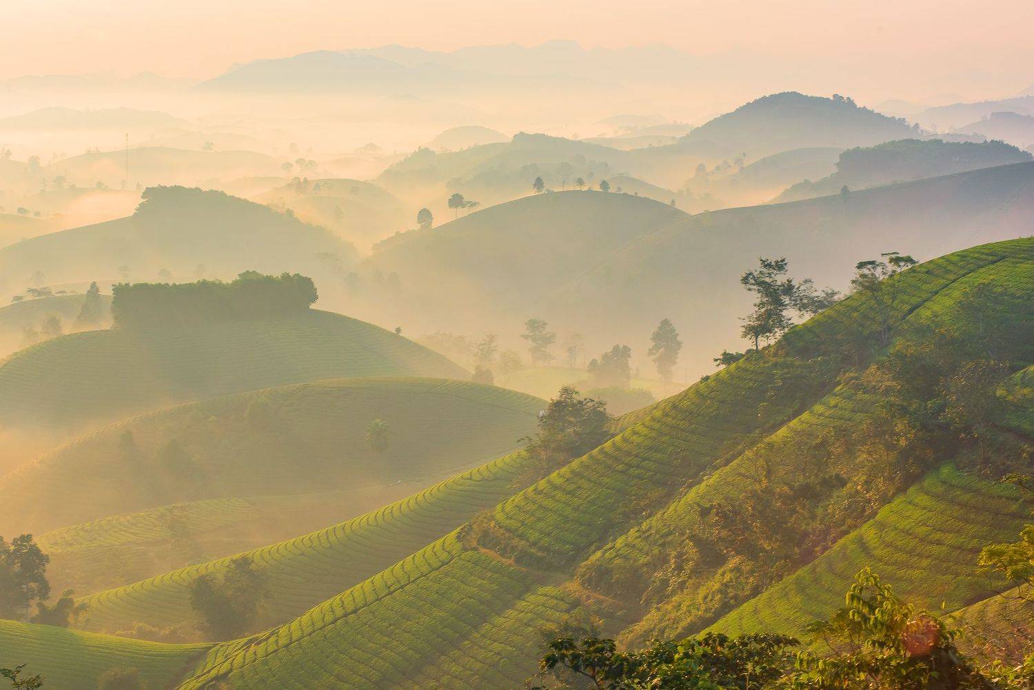 Long Cốc, Phú Thọ, Việt nam. Автор: Nguyễn Mạnh Đức , Nguyễn Mạnh Đức