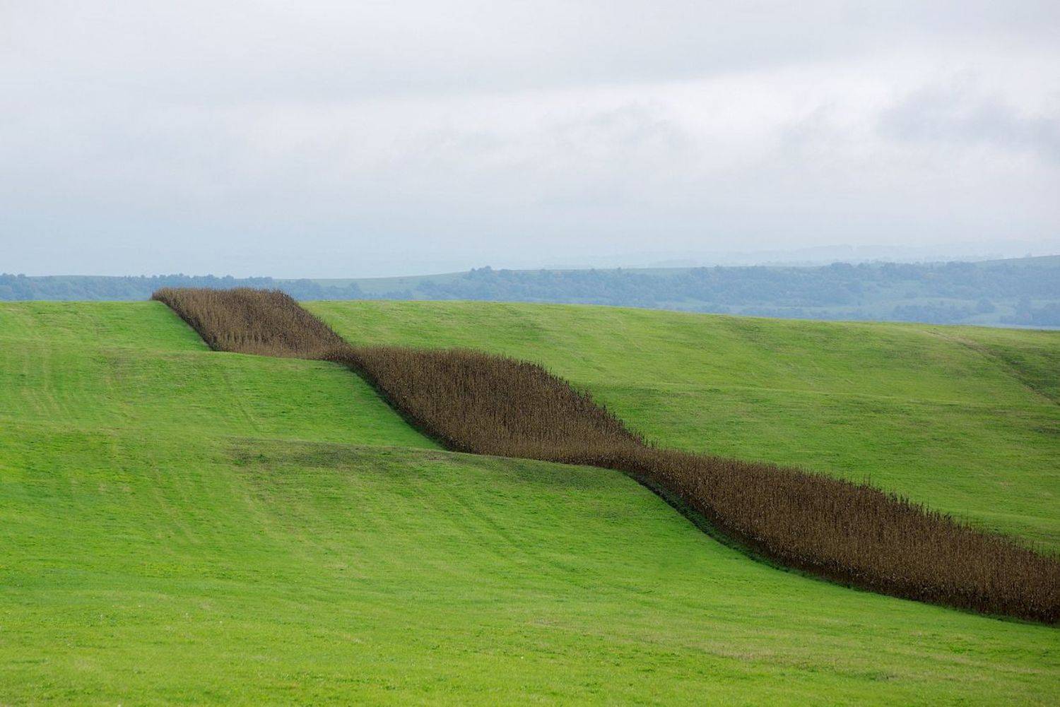 ГЕОМЕТРИЯ ПОЛЕЙ. Автор: Арсен Алабердов гора, рассвет, небо, плато, облака, утро, тучи, непогода , холмы , поля , зелень, Арсен Алабердов